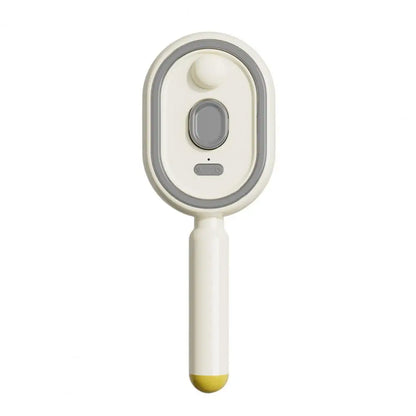 Electric Spray Hair Brush 2-In-1 Misting Hair Brush with Water Spray